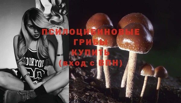 амф Армянск