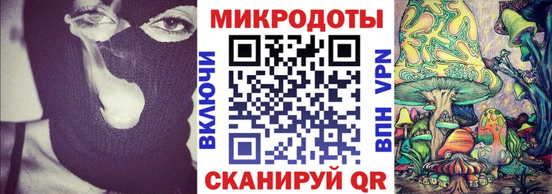 Псилоцибиновые грибы Cubensis  где можно купить наркотик  Майкоп 